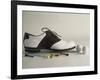 Golf Still Life-null-Framed Premium Photographic Print