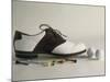 Golf Still Life-null-Mounted Premium Photographic Print