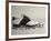 Golf Still Life-null-Framed Photographic Print