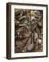 Golf Still Life-null-Framed Photographic Print