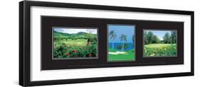 Golf tryp IV-unknown unknown-Framed Photo