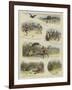 Golf under Difficulties on Indian Links-William Ralston-Framed Giclee Print