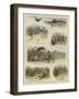 Golf under Difficulties on Indian Links-William Ralston-Framed Giclee Print