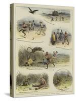 Golf under Difficulties on Indian Links-William Ralston-Stretched Canvas