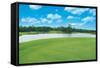 Golf-WizData-Framed Stretched Canvas