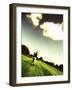 Golf-null-Framed Photographic Print