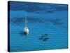 Golfe d' Ajaccio, Corsica, France-Doug Pearson-Stretched Canvas