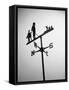 Golfer And Caddy Weather Vane-Bettmann-Framed Stretched Canvas