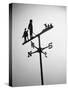 Golfer And Caddy Weather Vane-Bettmann-Stretched Canvas