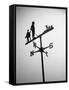 Golfer And Caddy Weather Vane-Bettmann-Framed Stretched Canvas