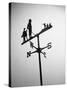 Golfer And Caddy Weather Vane-Bettmann-Stretched Canvas