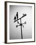 Golfer And Caddy Weather Vane-Bettmann-Framed Photographic Print