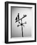 Golfer And Caddy Weather Vane-Bettmann-Framed Photographic Print