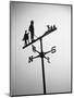 Golfer And Caddy Weather Vane-Bettmann-Mounted Photographic Print
