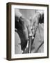 Golfer Ben Hogan Demonstrating Reverse Overlapping Putting Grip-null-Framed Photographic Print