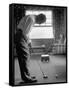 Golfer Ben Hogan Practicing Putting in His town house with Wife Valerie Watching from Armchair-Loomis Dean-Framed Stretched Canvas