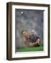 Golfer Blasting a Shot Out of a Sand Trap, San Diego, California, USA-Chris Trotman-Framed Photographic Print