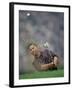 Golfer Blasting a Shot Out of a Sand Trap, San Diego, California, USA-Chris Trotman-Framed Photographic Print