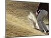 Golfer Blasting Out of Sand Trap-null-Mounted Photographic Print