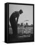 Golfer Byron Nelson Pitching His Shot onto the Green on 16th Hole, Going Three Feet Past the Hole-null-Framed Stretched Canvas