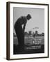 Golfer Byron Nelson Pitching His Shot onto the Green on 16th Hole, Going Three Feet Past the Hole-null-Framed Photographic Print