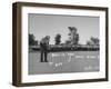 Golfer Byron Nelson Putting for a Birdie on 14th Hole-null-Framed Photographic Print