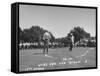 Golfer Byron Nelson Putting for a Birdie on 17th Green-null-Framed Stretched Canvas