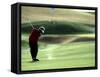 Golfer in Action-null-Framed Stretched Canvas