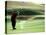 Golfer in Action-null-Stretched Canvas