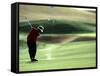 Golfer in Action-null-Framed Stretched Canvas