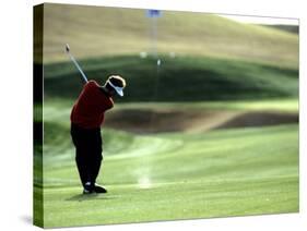 Golfer in Action-null-Stretched Canvas