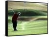 Golfer in Action-null-Framed Stretched Canvas