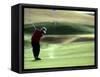 Golfer in Action-null-Framed Stretched Canvas