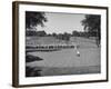 Golfer Lining Up His Putt-null-Framed Photographic Print