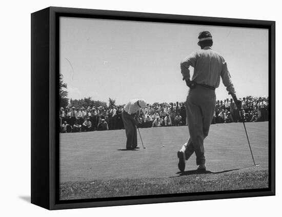 Golfer Putting the 12th Green-null-Framed Stretched Canvas