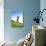 Golfer-null-Photographic Print displayed on a wall