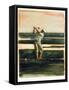 Golfer-Dean Bruce-Framed Stretched Canvas