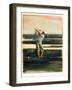 Golfer-Dean Bruce-Framed Art Print