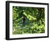Golfers As Seen Through the Trees-null-Framed Premium Photographic Print