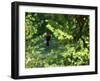 Golfers As Seen Through the Trees-null-Framed Photographic Print