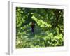 Golfers As Seen Through the Trees-null-Framed Photographic Print