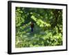 Golfers As Seen Through the Trees-null-Framed Photographic Print