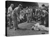 Golfers Clowning Around for the Photographers, During the Washington Post Gold Tournament-Martha Holmes-Stretched Canvas