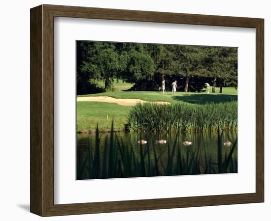 Golfers on the 17th Hole of the Eastmoreland Golf Course, Portland, Oregon, USA-Janis Miglavs-Framed Photographic Print