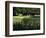 Golfers on the 17th Hole of the Eastmoreland Golf Course, Portland, Oregon, USA-Janis Miglavs-Framed Photographic Print