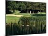 Golfers on the 17th Hole of the Eastmoreland Golf Course, Portland, Oregon, USA-Janis Miglavs-Mounted Photographic Print