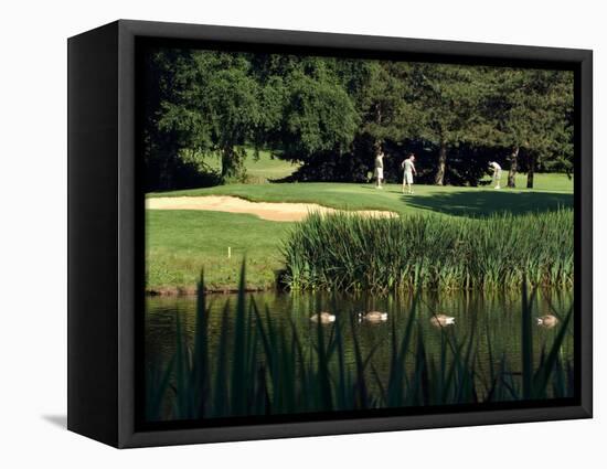 Golfers on the 17th Hole of the Eastmoreland Golf Course, Portland, Oregon, USA-Janis Miglavs-Framed Stretched Canvas