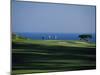 Golfers Play on the Championship Course, Algarve, Portugal-Ian Aitken-Mounted Photographic Print