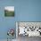 Golfers Playing on Golf Course-Walker Evans-Photographic Print displayed on a wall