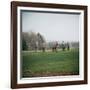 Golfers Playing on Golf Course-Walker Evans-Framed Photographic Print